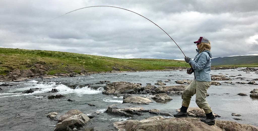 Best brown trout fishing at Reykjadalsá river