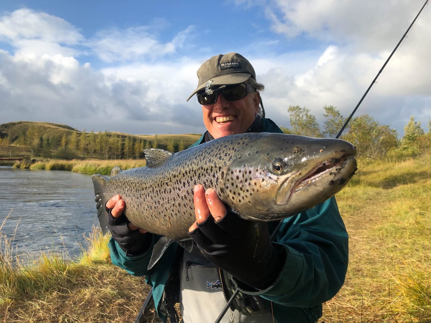 The thrill of the catch: landing a sea trout on the Tungulækur River